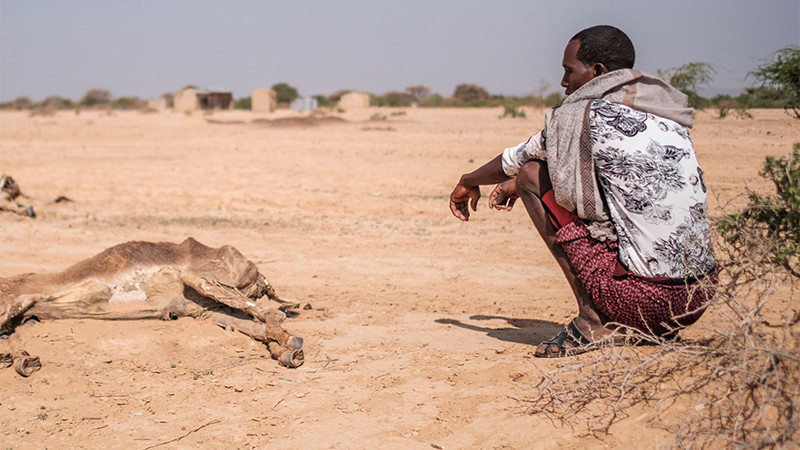 Oxfam advierte siniestros en 2040: hambre, malaria, inundaciones y sequías