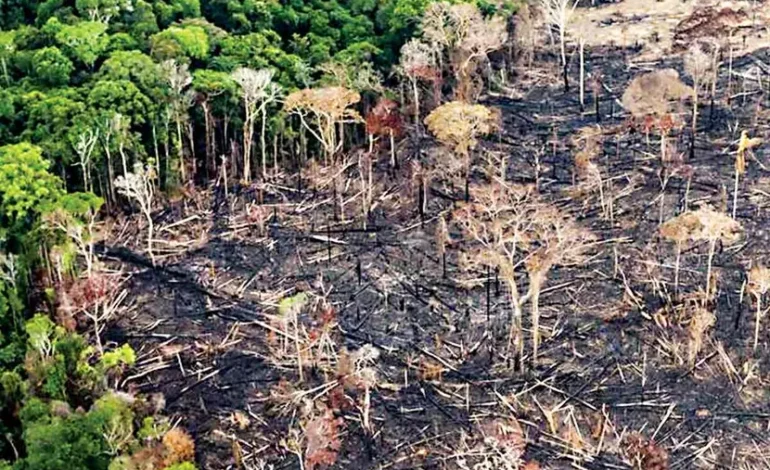 Critican políticas ambientales en América Latina; desastres naturales en potencia